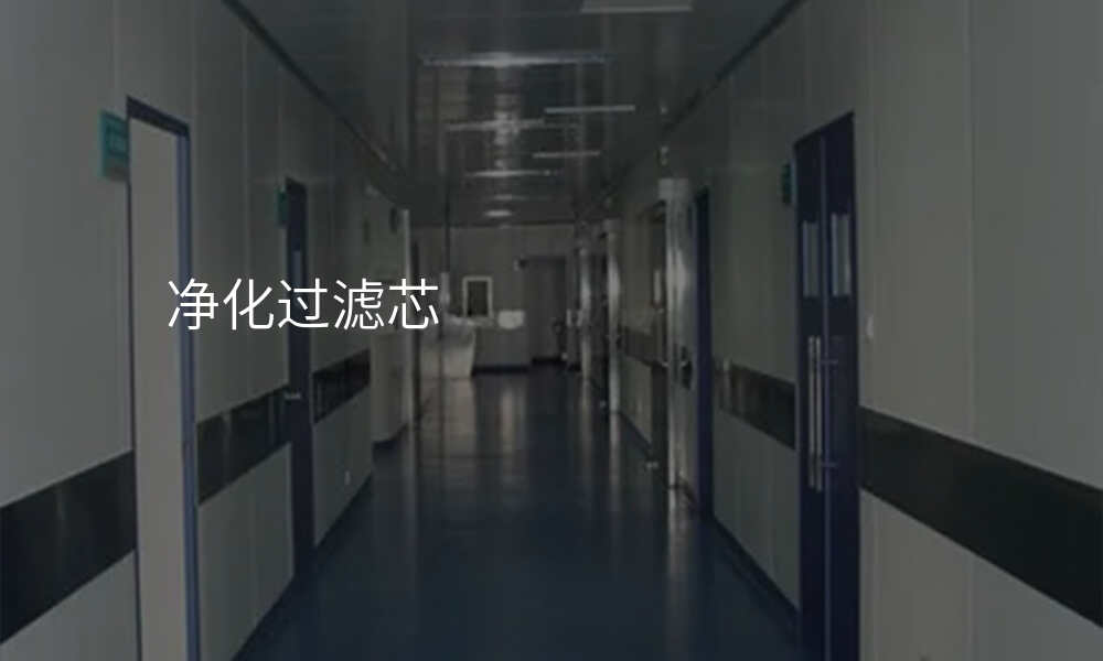 净化过滤芯