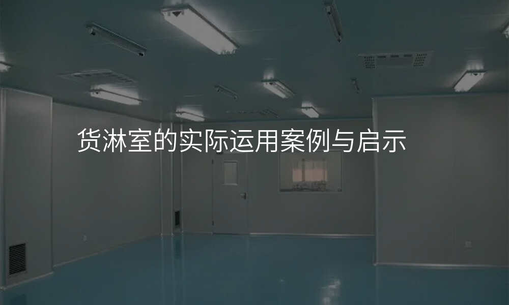 货淋室的实际运用案例与启示