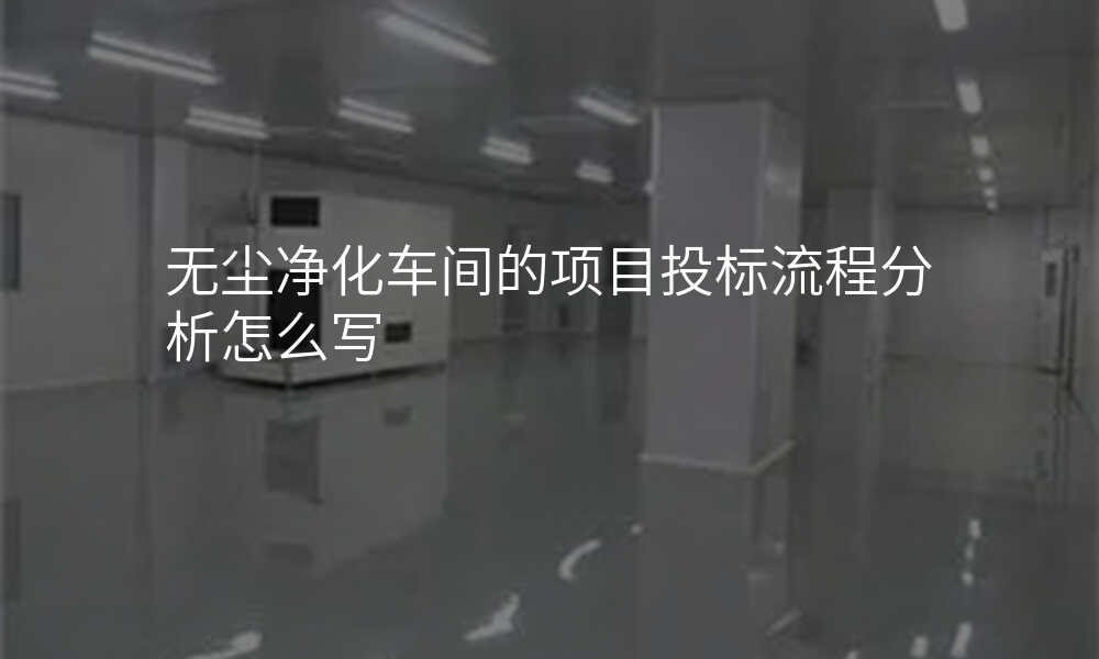 无尘净化车间的项目投标流程分析怎么写