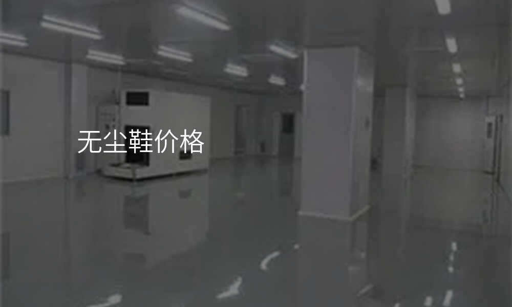 无尘鞋价格