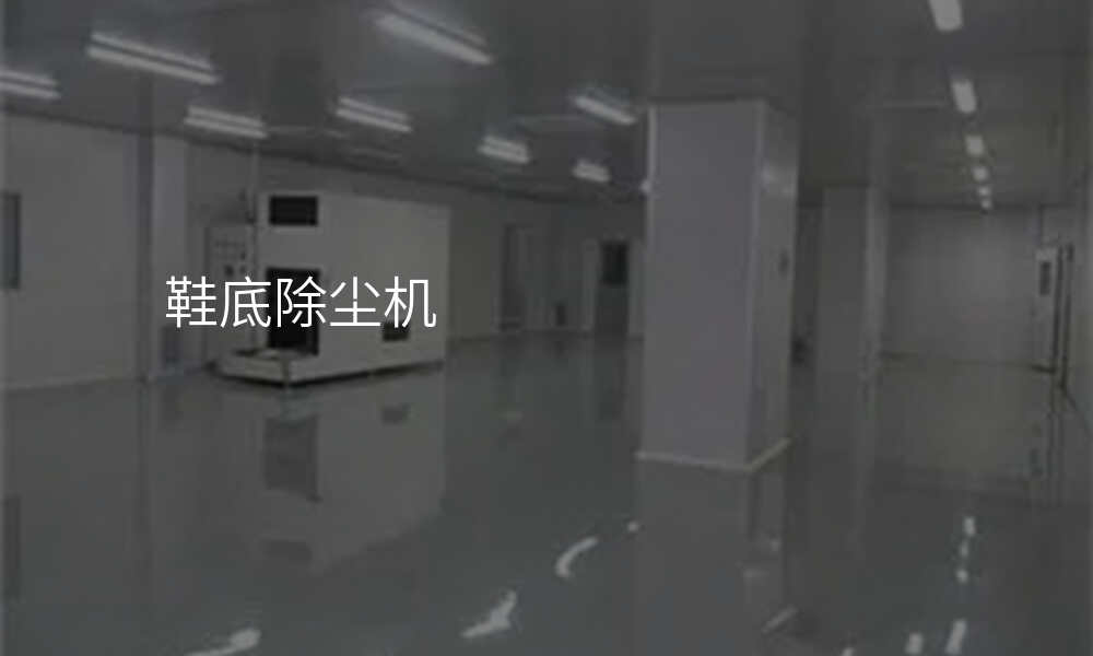 鞋底除尘机