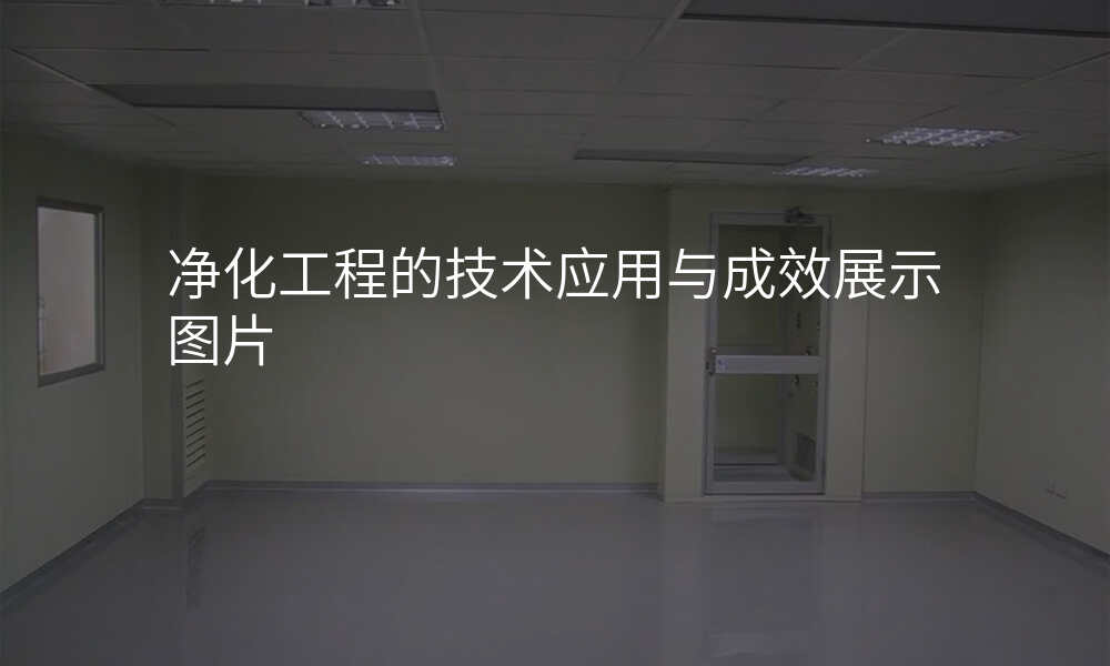 净化工程的技术应用与成效展示图片