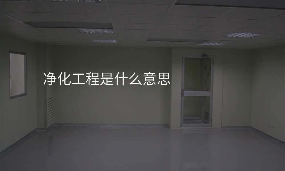 净化工程是什么意思