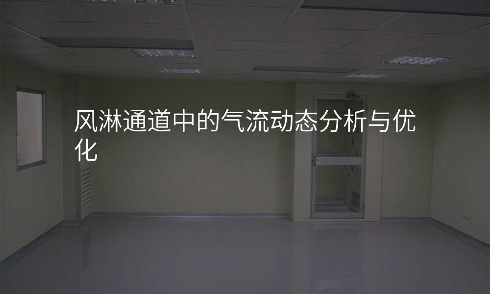 风淋通道中的气流动态分析与优化