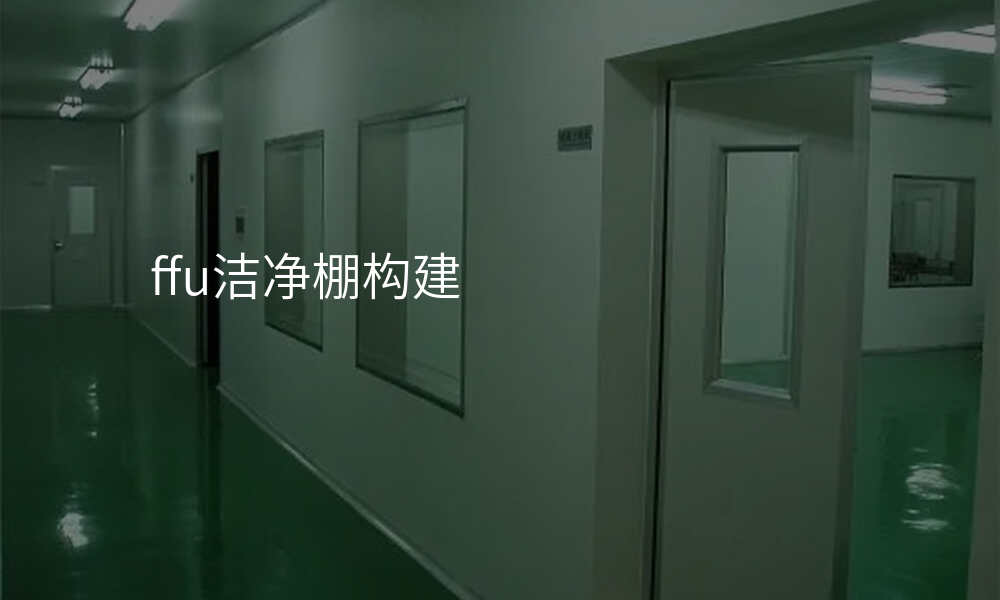 ffu洁净棚构建