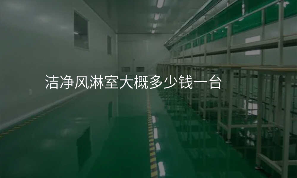 洁净风淋室大概多少钱一台