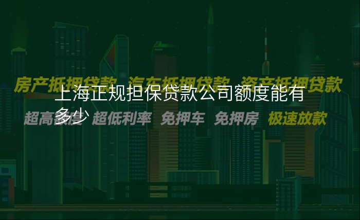 上海正规担保贷款公司额度能有多少