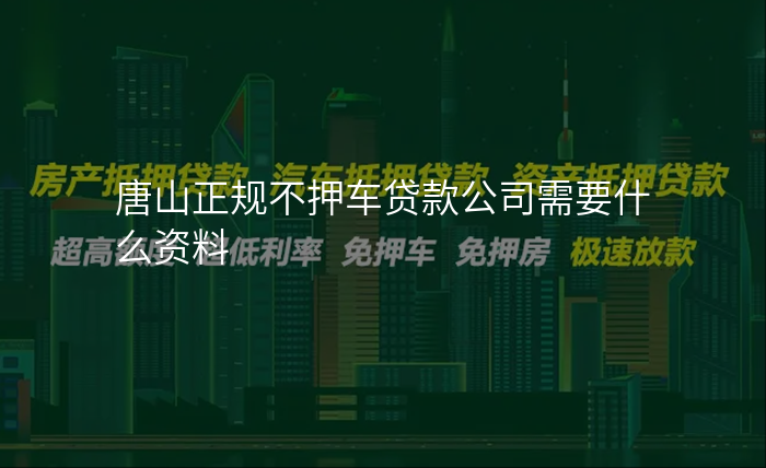 唐山正规不押车贷款公司需要什么资料