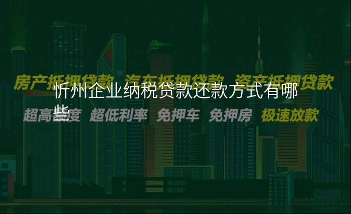 忻州企业纳税贷款还款方式有哪些