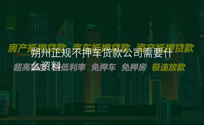 朔州正规不押车贷款公司需要什么资料
