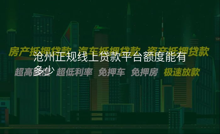 沧州正规线上贷款平台额度能有多少