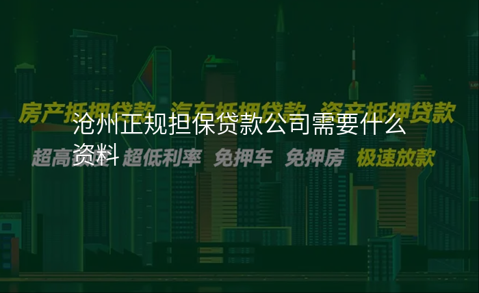 沧州正规担保贷款公司需要什么资料