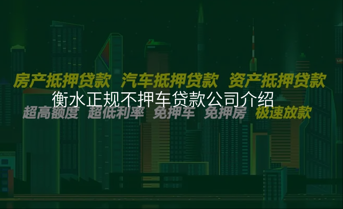 衡水正规不押车贷款公司介绍