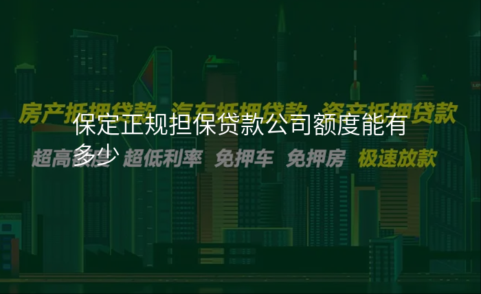 保定正规担保贷款公司额度能有多少