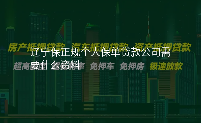 辽宁保正规个人保单贷款公司需要什么资料