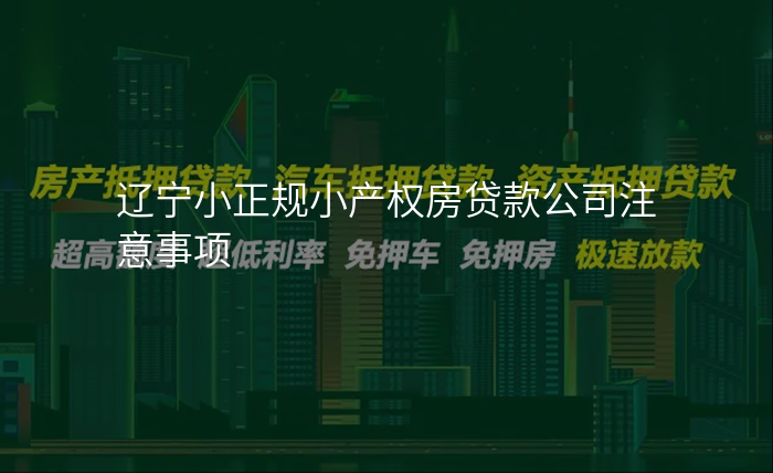 辽宁小正规小产权房贷款公司注意事项