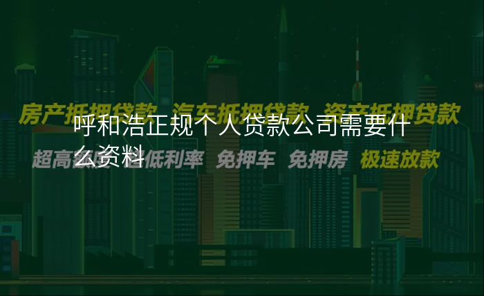 呼和浩正规个人贷款公司需要什么资料
