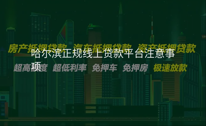 哈尔滨正规线上贷款平台注意事项