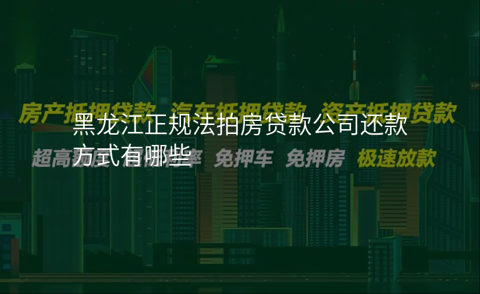 黑龙江正规法拍房贷款公司还款方式有哪些