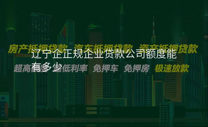 辽宁企正规企业贷款公司额度能有多少