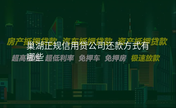 巢湖正规信用贷公司还款方式有哪些