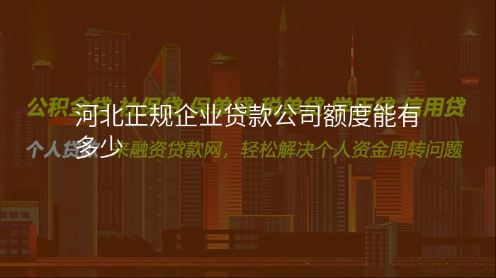 河北正规企业贷款公司额度能有多少
