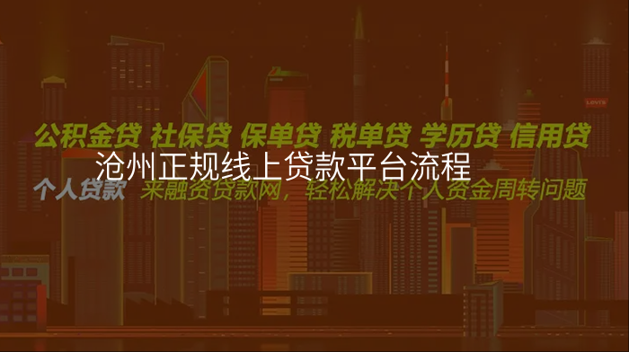 沧州正规线上贷款平台流程