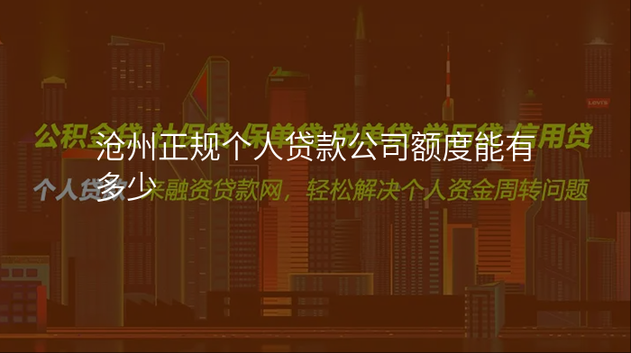 沧州正规个人贷款公司额度能有多少
