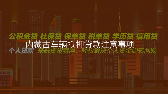 内蒙古车辆抵押贷款注意事项