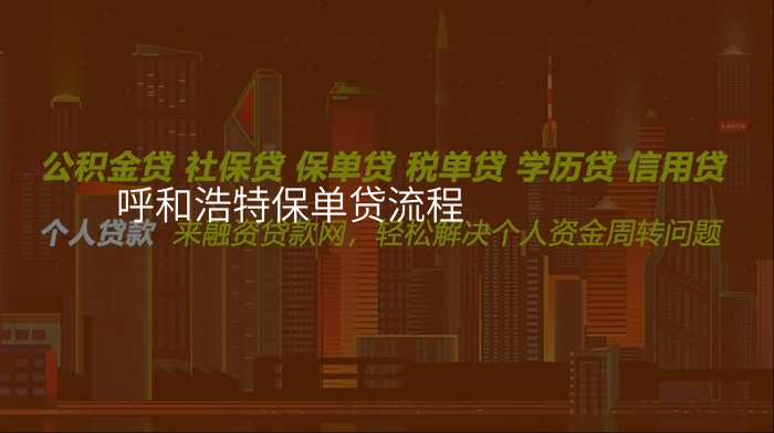 呼和浩特保单贷流程