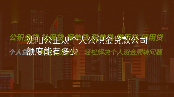 沈阳公正规个人公积金贷款公司额度能有多少