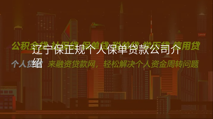 辽宁保正规个人保单贷款公司介绍