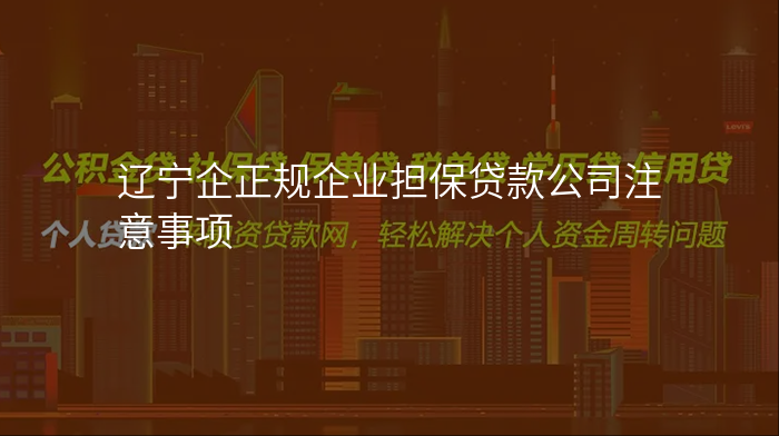 辽宁企正规企业担保贷款公司注意事项
