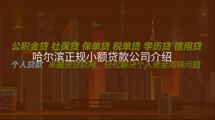 哈尔滨正规小额贷款公司介绍