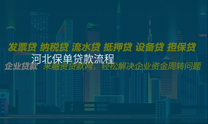 河北保单贷款流程