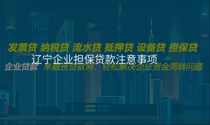 辽宁企业担保贷款注意事项