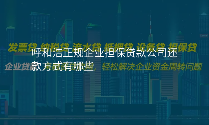 呼和浩正规企业担保贷款公司还款方式有哪些