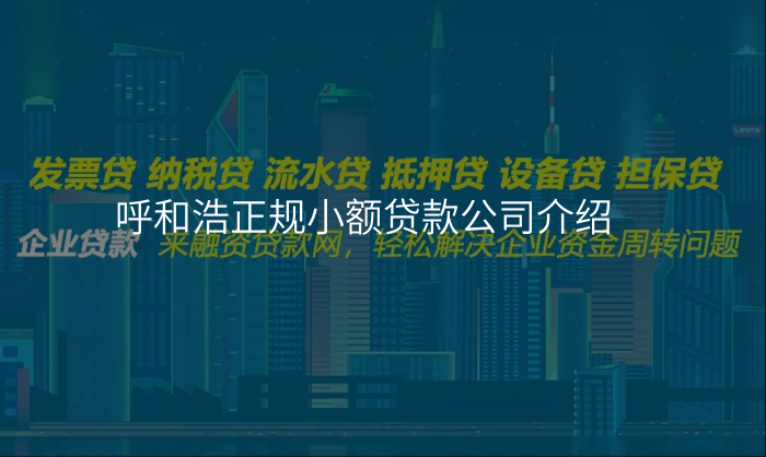 呼和浩正规小额贷款公司介绍