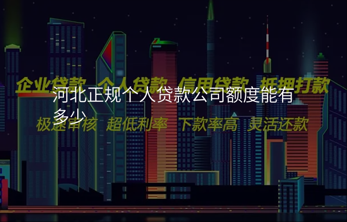 河北正规个人贷款公司额度能有多少