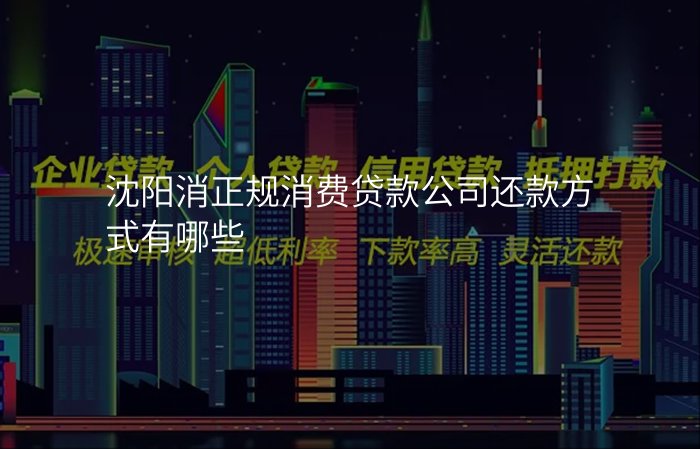 沈阳消正规消费贷款公司还款方式有哪些