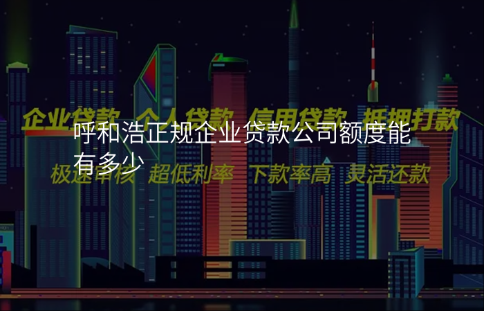 呼和浩正规企业贷款公司额度能有多少