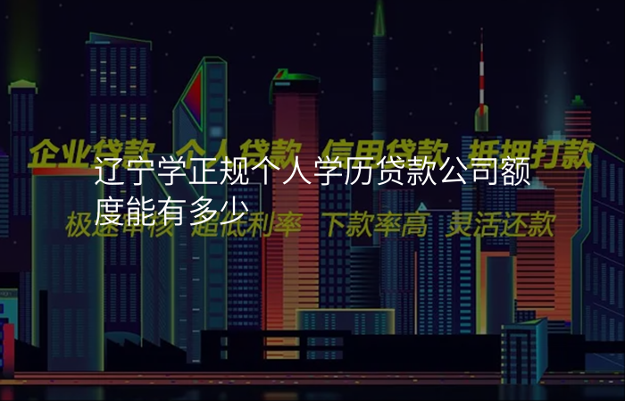 辽宁学正规个人学历贷款公司额度能有多少