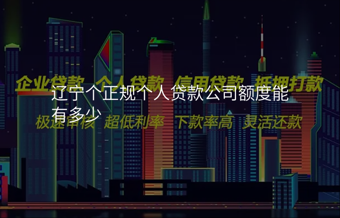 辽宁个正规个人贷款公司额度能有多少
