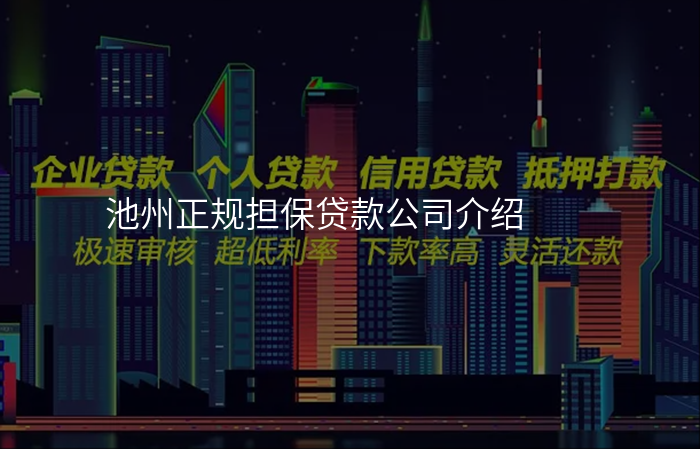 池州正规担保贷款公司介绍