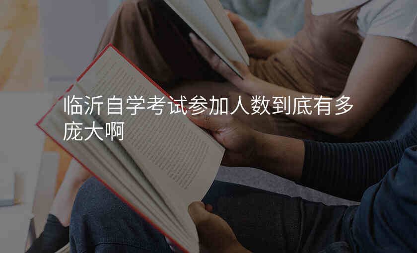 临沂自学考试参加人数到底有多庞大啊