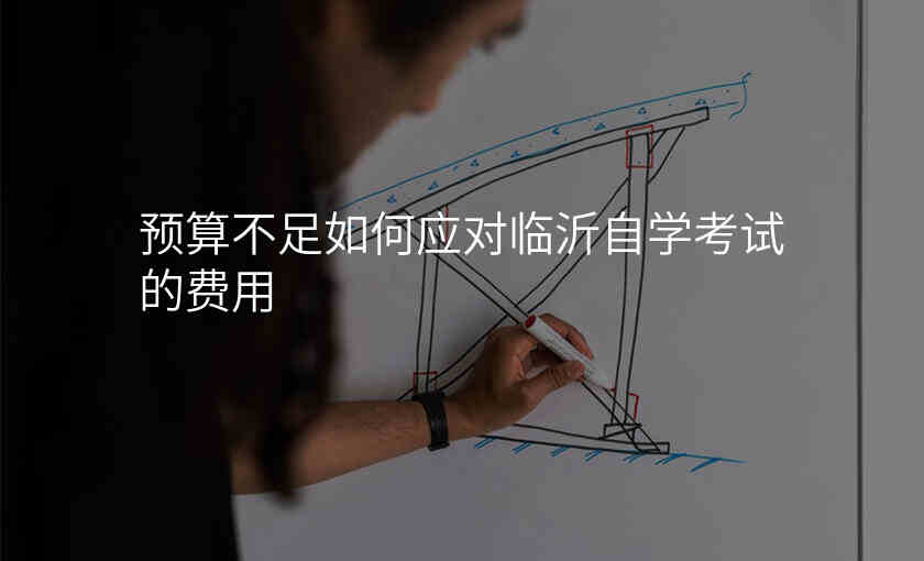 预算不足如何应对临沂自学考试的费用