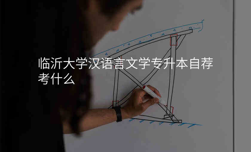 临沂大学汉语言文学专升本自荐考什么