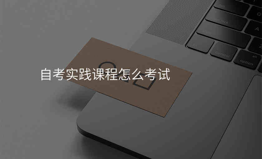 自考实践课程怎么考试