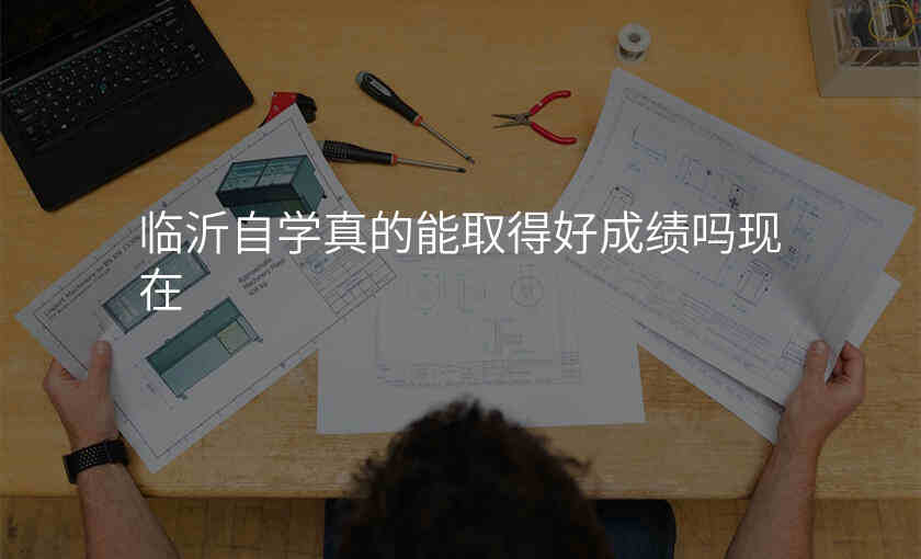 临沂自学真的能取得好成绩吗现在