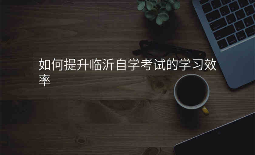 如何提升临沂自学考试的学习效率